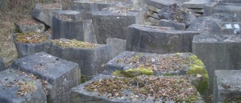 Teilansicht der Einzelteile nachdem sie von Bewuchs befreit wurden [Quelle: Verein der Freunde und Förderer Barbara-Denkmal e.V. Koblenz]